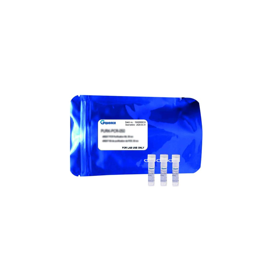 Taq polimerasa con buffer verde x-VITA - Labbox Export (ES)