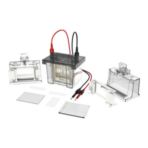 SISTEMA DE ELECTROFORESIS VERTICAL, VOLT V80