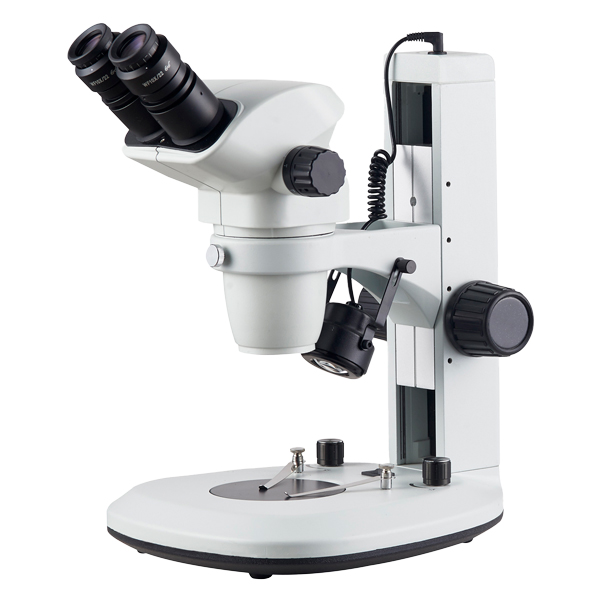 ESTEREOMICROSCOPIO SUPERIOR, L100 - Imagen 2