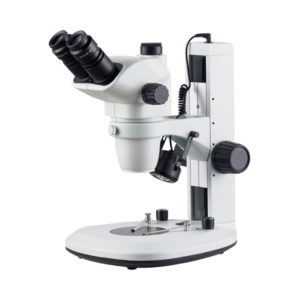 ESTEREOMICROSCOPIO SUPERIOR, L100